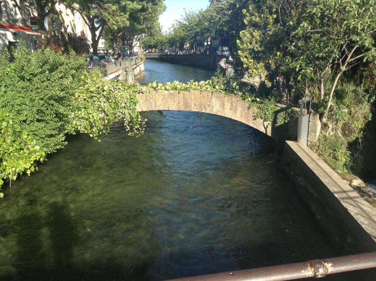 Les Lauriers Διαμέρισμα LʼIsle-sur-la-Sorgue Εξωτερικό φωτογραφία